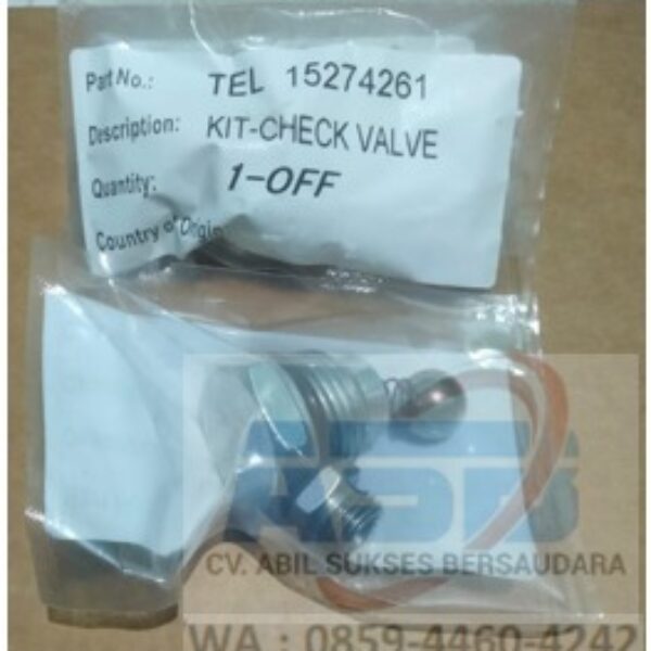 15274261 - KIT CHECK VALVE