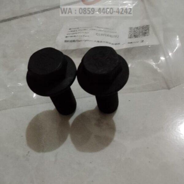 Q1801640TF2 - BOLT