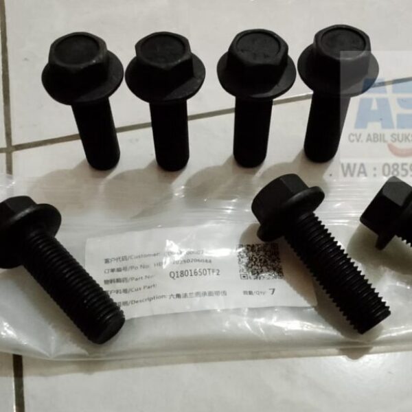 Q1801650TF2 - BOLT