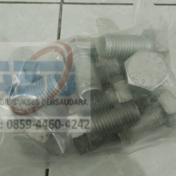 805046588 - BOLT M20X40