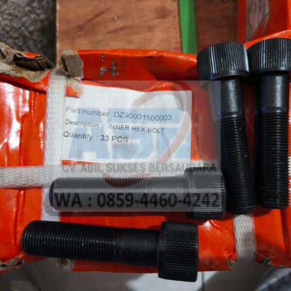 DZ90001500003 - INNER HEX BOLT