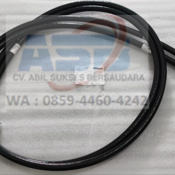 DS2095003 - HOSE