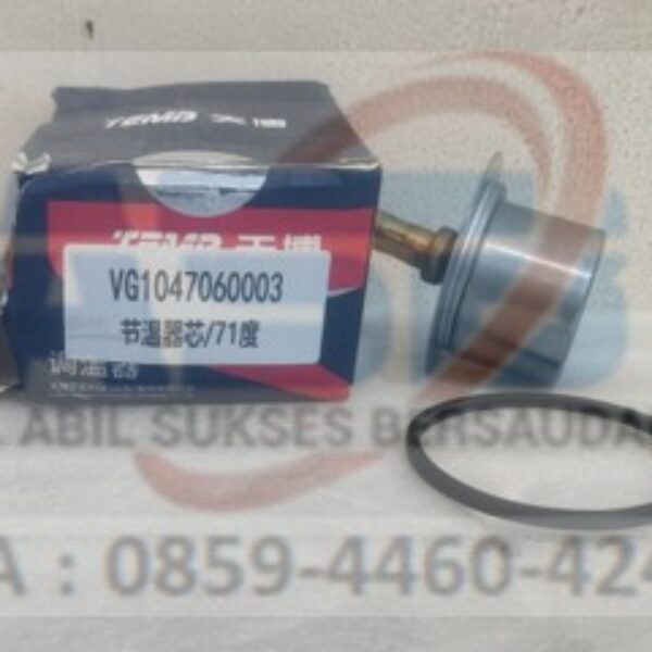 VG1047060003 - TEMPERATURE REGULATOR