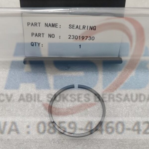 23019730 - SEALRING